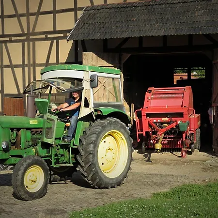 Mit Terrasse In Hueddingen *