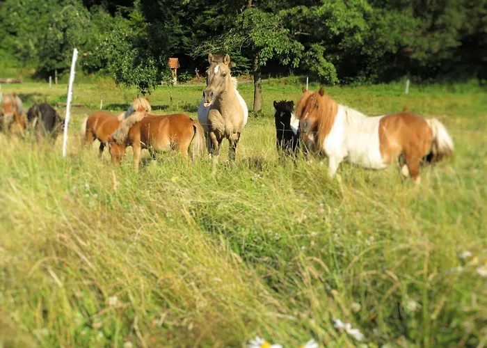 Mit Terrasse In Hueddingen