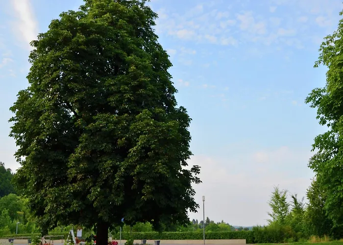 Mit Terrasse In Hueddingen Reinhardshausen