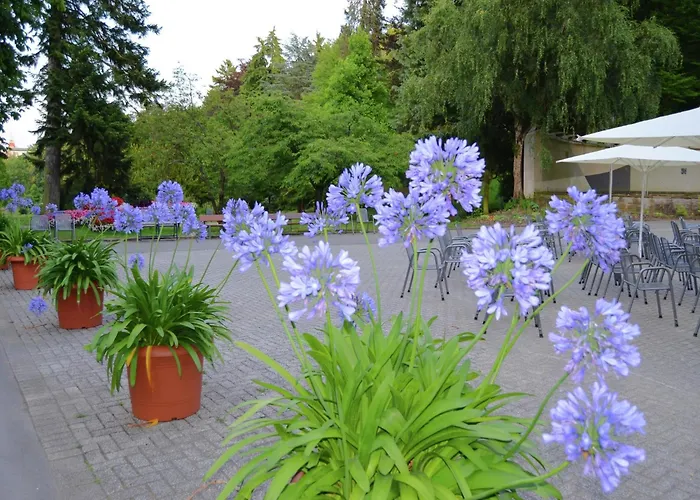 Mit Terrasse In Hueddingen * Reinhardshausen