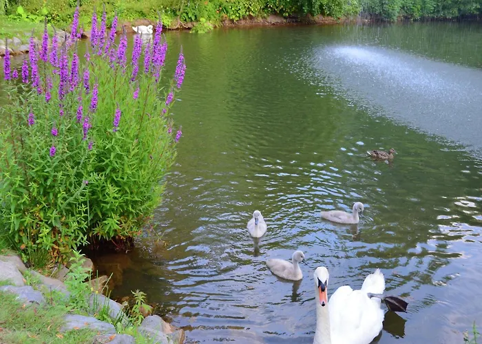 Mit Terrasse In Hueddingen *